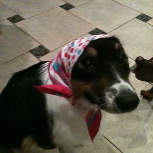 Meet your Posher, Mandy